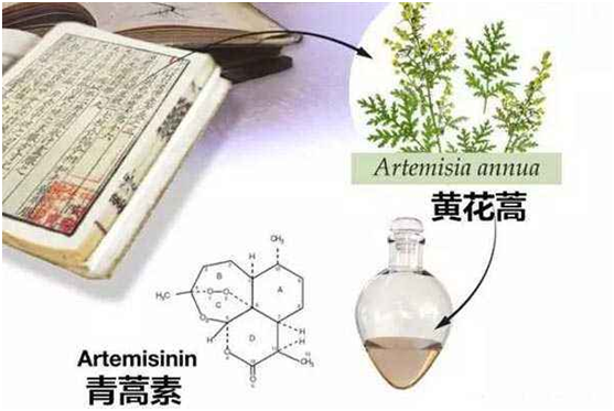 乐动平台客服,乐动（中国）：向中医药看齐，与世界共享中医药文化(图1)